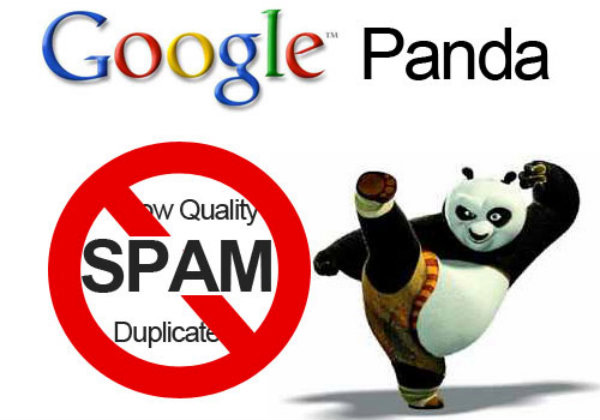Panda Google Algorithm Update