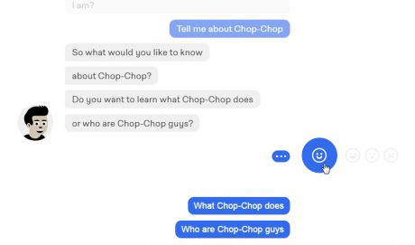 Scripted Chatbot