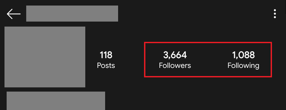 Audit Instagram Follower Following Ratio